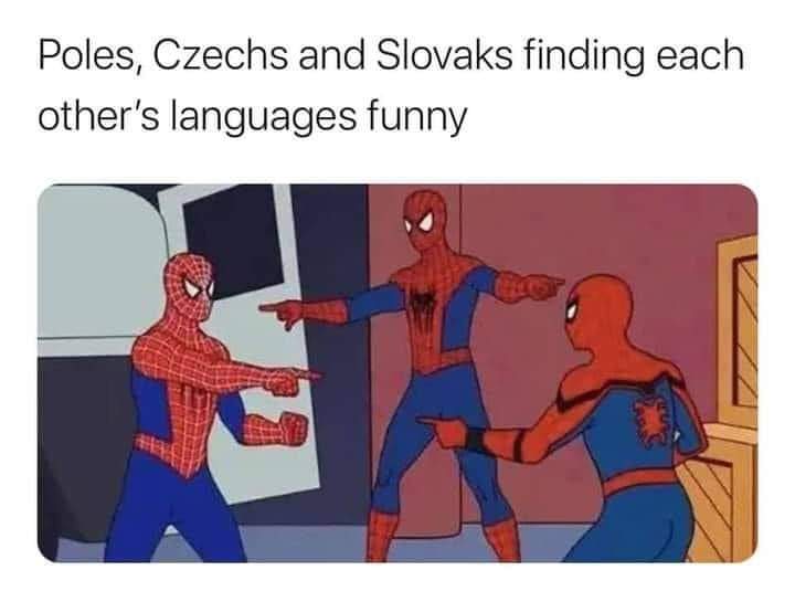 Poles, Czechs and Slovaks finding each other's languages funny