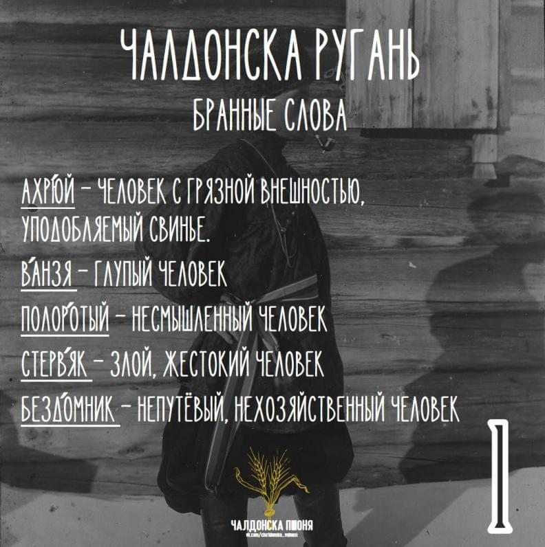 ЧАЛДОНСКА РУГАНЬ БРАННЫЕ СЛОВА АХРОЙ - ЧЕЛОВЕК С ГРЯЗНОЙ ВНЕШНОСТЬЮ, УПОДОБЛЯЕМЫЙ СВИНЬЕ. ВАНЗЯ - ГЛУПЫЙ ЧЕЛОВЕК ПОЛОРОТЫЙ - НЕСМЫШЛЕННЫЙ ЧЕЛОВЕК СТЕРВЯК - ЗЛОЙ, ЖЕСТОКИЙ ЧЕЛОВЕК БЕЗЛОМНИК - НЕПУТЕВЫЙ, НЕ ХОЗЯЙСТВЕННЫЙ ЧЕЛОВЕК ЧАЛДОНСКА ПОНЯ