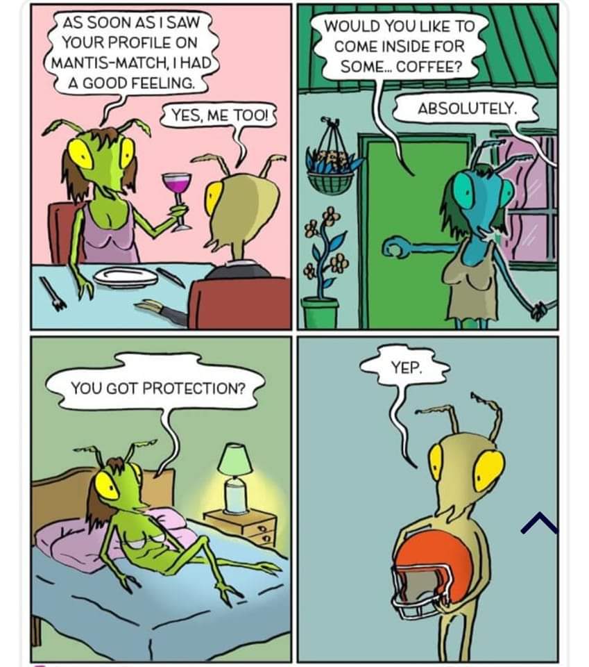 AS SOON AS I SAW YOUR PROFILE ON MANTIS-MATCH, I HAD A GOOD FEELING. YES, ME TOO! WOULD YOU LIKE TO COME INSIDE FOR SOME... COFFEE? ABSOLUTELY. YEP. YOU GOT PROTECTION?