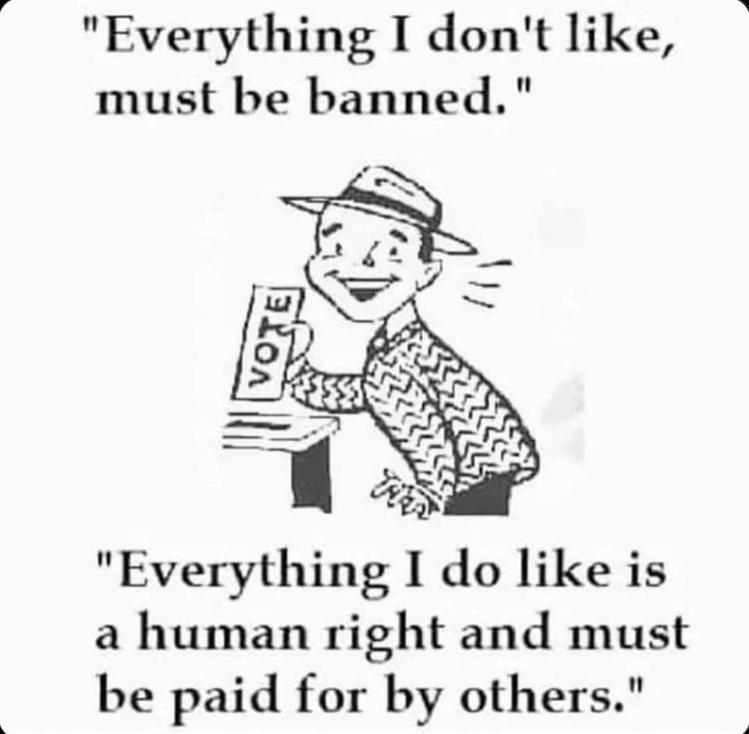 "Everything I don't like, must be banned." "Everything I do like is a human right and must be paid for by others."