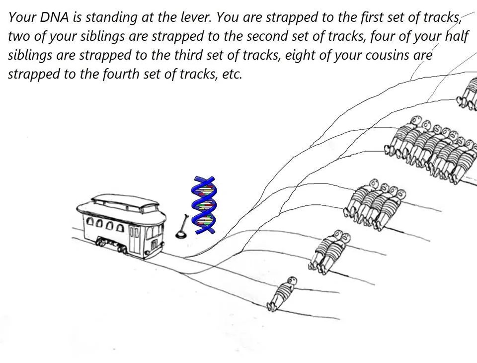 Your DNA is standing at the lever. You are strapped to the first set of tracks; two of your siblings are strapped to the second set of tracks, four of your half siblings are strapped to the third set of tracks, eight of your cousins are strapped to the fourth set of tracks, etc. 40 100K