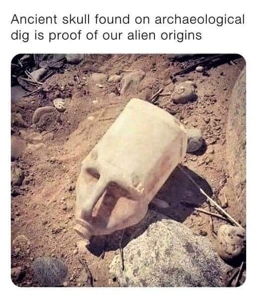 Ancient skull found on archaeological dig is proof of our alien origins