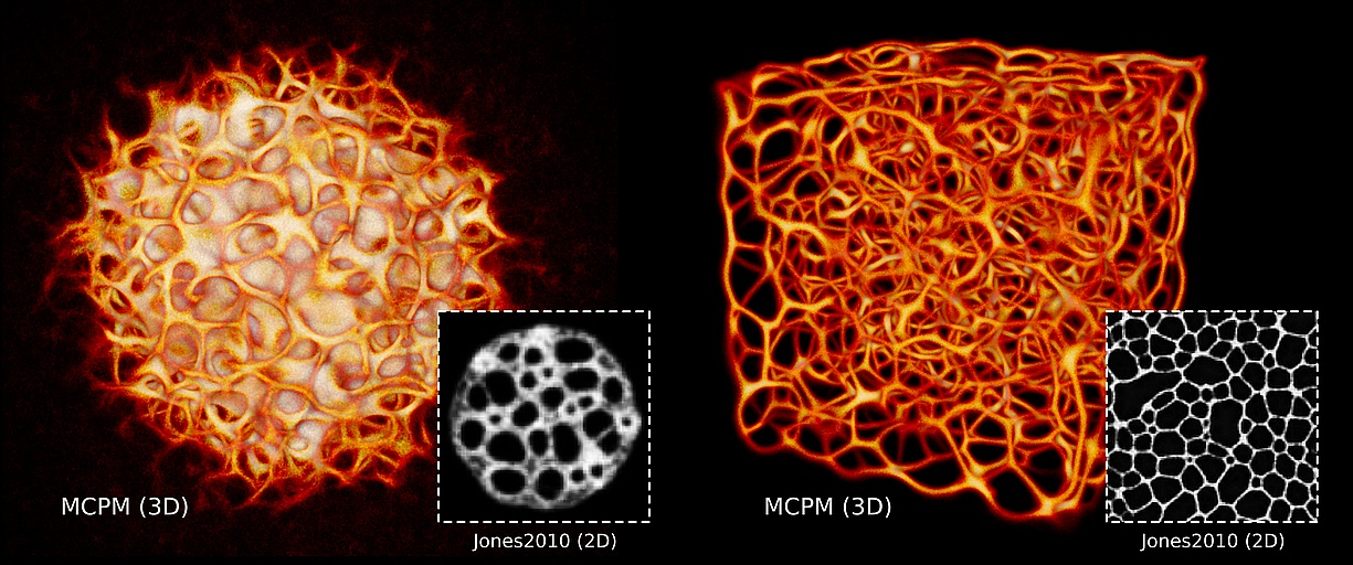 MCPM (3D) Jones2010 (2D) MCPM (3D) Jones2010 (2D)
