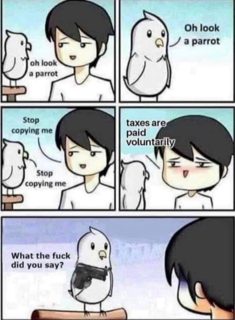 oh look a parrot Stop copying me Stop copying me What the fuck did you say? Oh look a parrot taxes are paid voluntarily