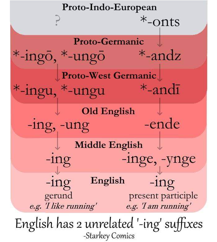 Proto-Indo-European *-onts Proto-Germanic *-ing&ograve;, *-ung&ograve; *-andz Proto-West Germanic *-ingu, *-ungu *-andi Old English -ing, -ung -ende Middle English -1ng -inge, -ynge -1ng English -1ng gerund e.g. 'T like running' present participle e.g. 'I am running' English has 2 unrelated'-ing' suffixes -Starkey Comics
