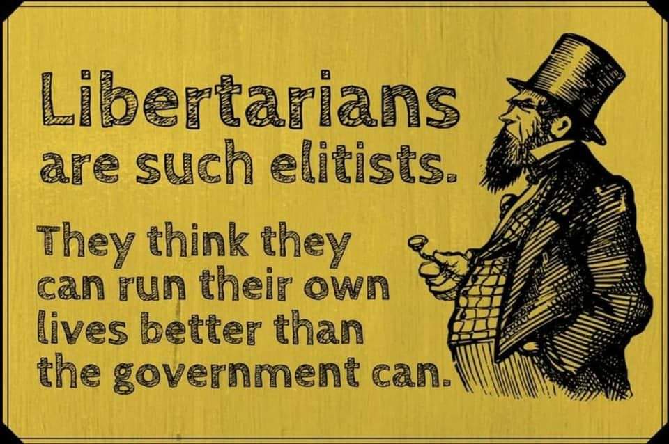 Libertarians are such elitists. They think they can run their own lives better than the government can.