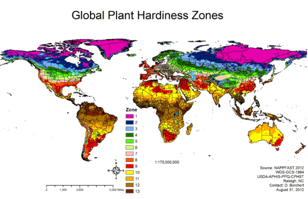 Global Plant Hardiness Zones 1.300 2,600 5,200 Miles Zone I 1 12 13 14 15 ] 6 17 1 8 19 ] 10 111 112 I 13 1:170,000,000 Source: NAPPFAST 2012 WGS-GCS-1984 USDA-APHIS-PPQ-CPHST Raleigh, NC Contact: D. Borchert August 31, 2012