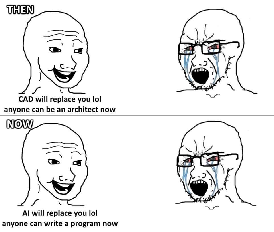 THEN CAD will replace you lol anyone can be an architect now NOW Al will replace you lol anyone can write a program now