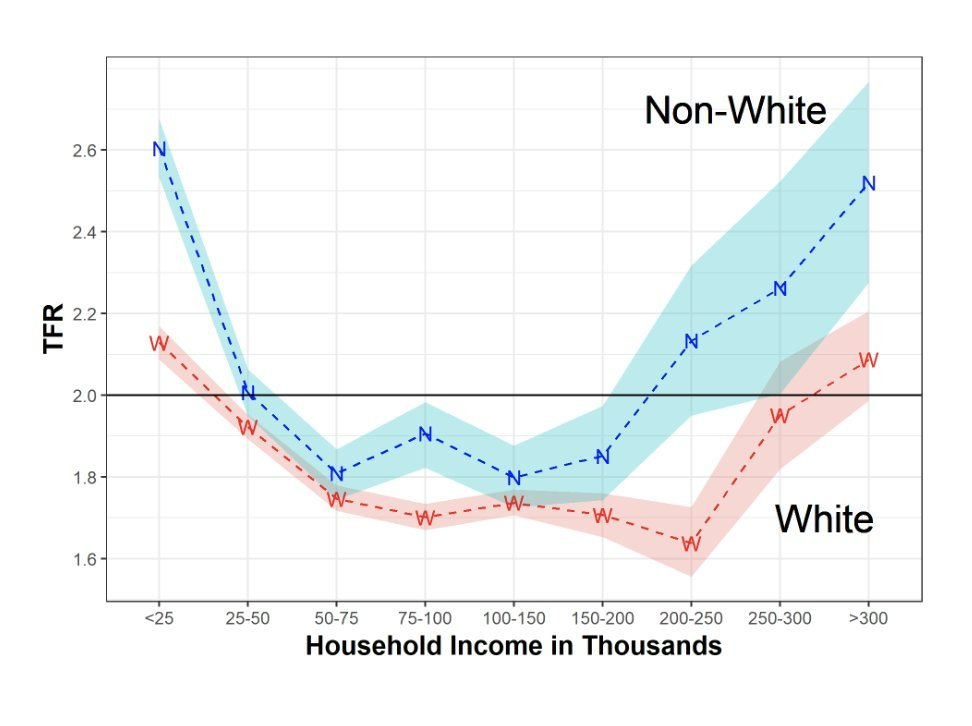 Non-White 2.6 N 2.4- TFR 2.2 - N W 2.0 N W -N.. 1.8 - N- --- N White 1.6 - <25 25-50 50-75 75-100 100-150 150-200 200-250 250-300 Household Income in Thousands >300