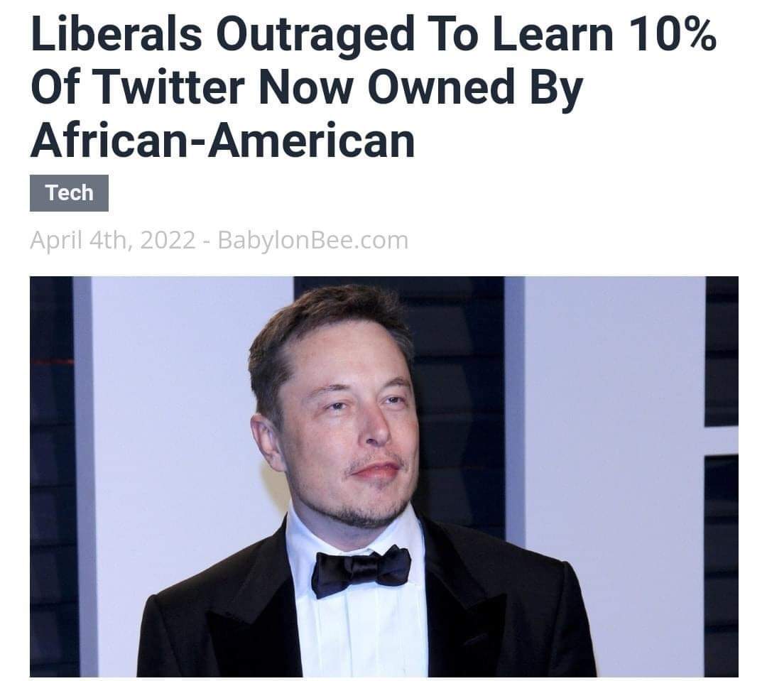 Liberals Outraged To Learn 10% Of Twitter Now Owned By African-American Tech April 4th, 2022 - BabylonBee.com