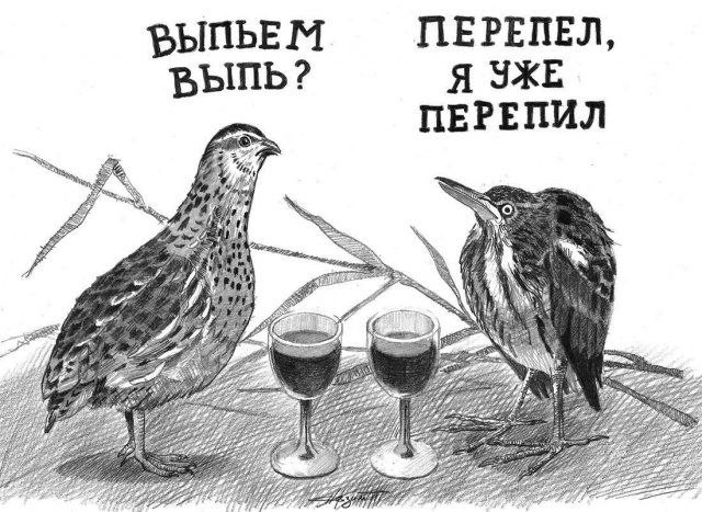 ВЫПЬЕМ ВЫПЬ? ПЕРЕПЕЛ, Я УЖЕ ПЕРЕПИЛ