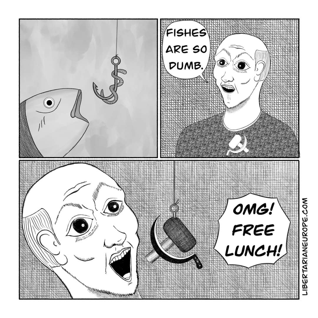 FISHES ARE SO DUMB. OMG! FREE LUNCH! LIBERTARIANEUROPE.COM
