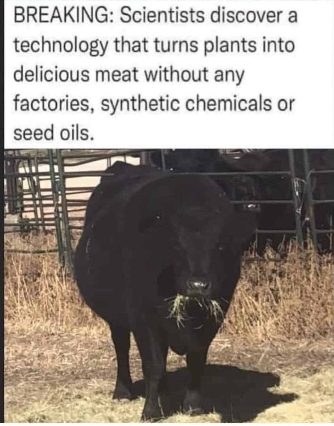 BREAKING: Scientists discover a technology that turns plants into delicious meat without any factories, synthetic chemicals or seed oils.