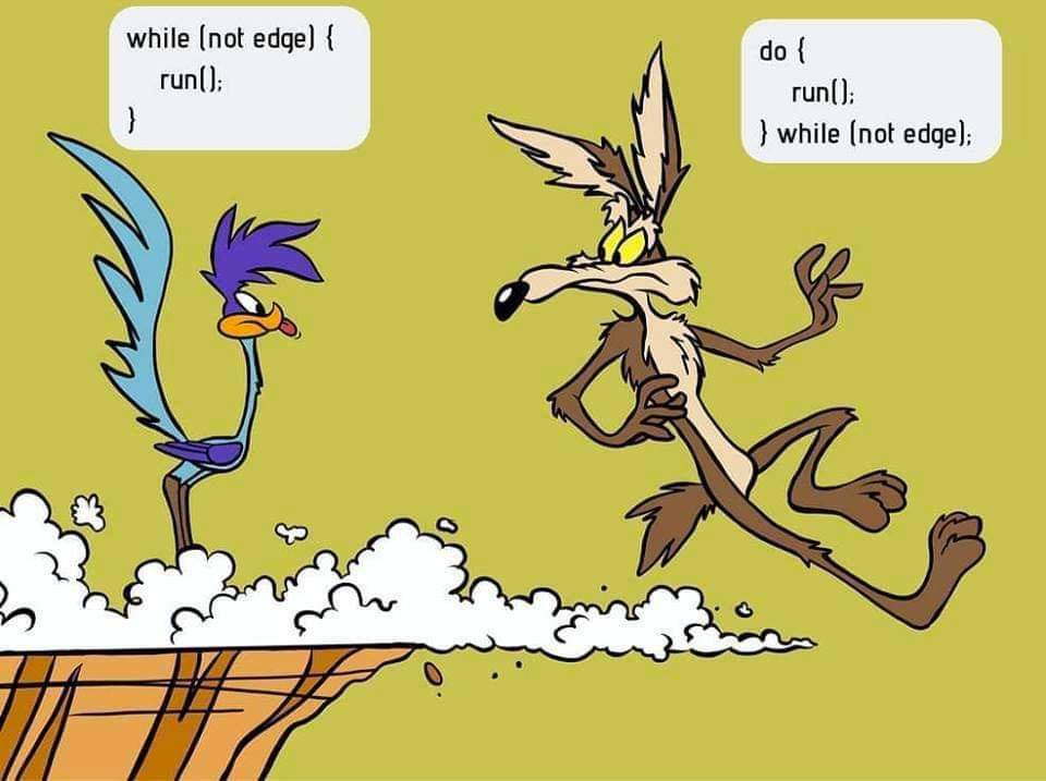 while (not edge) ( run(]: do t run(): ) while (not edge);