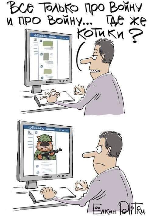 Все Только про Войну И ПРО ВОЙНУ... где же Котики?