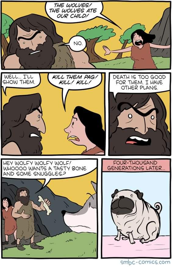 THE WOLVES! THE WOLVES ATE OUR CHILD! WELL... ILL SHOW THEM. KILL THEM PAG! KILL! KILL! HEY WOLFY WOLFY WOLF! WHOOOO WANTS A TASTY BONE AND SOME SNUGGLES? DEATH IS TOO GOOD FOR THEM. I HAVE OTHER PLANS. FOUR-THOUSAND GENERATIONS LATER..... smbc-comics.com