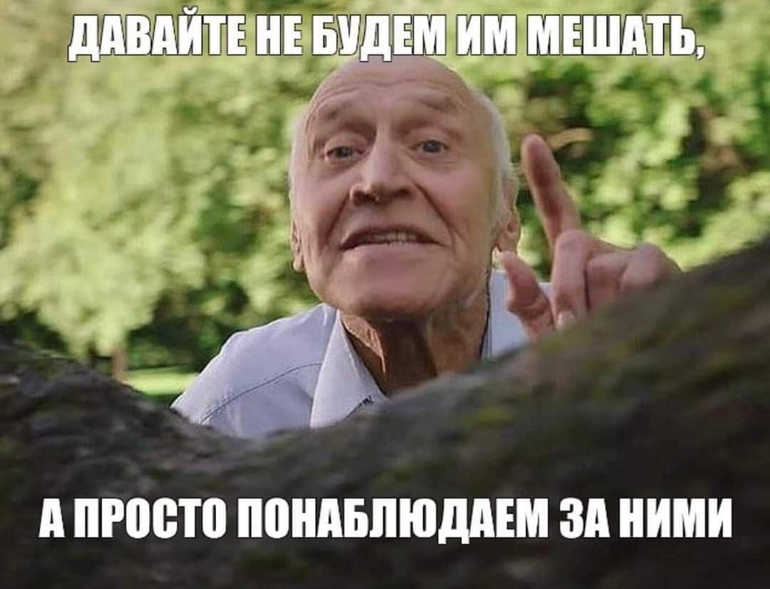 ДАВАЙТЕ НЕ БУДЕМ ИМ МЕШАТЬ, А ПРОСТО ПОНАБЛЮДАЕМ ЗА НИМИ