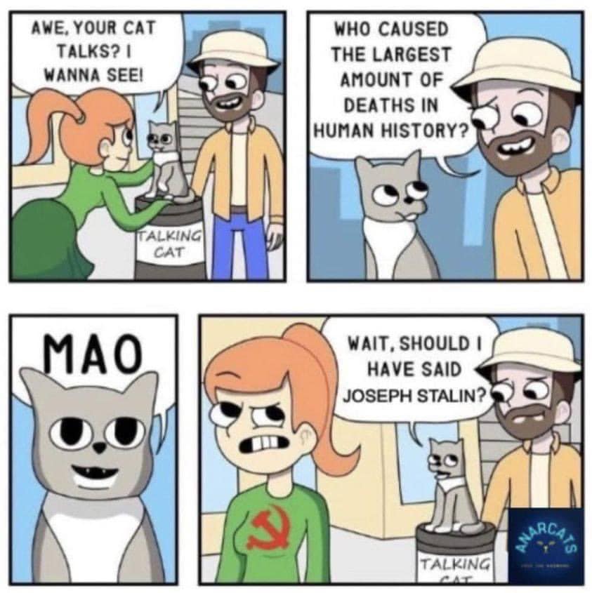 AWE, YOUR CAT TALKS? I WANNA SEEI TALKING CAT MAO WHO CAUSED THE LARGEST AMOUNT OF DEATHS IN HUMAN HISTORY? WAIT, SHOULD I HAVE SAID JOSEPH STALIN? TALKING