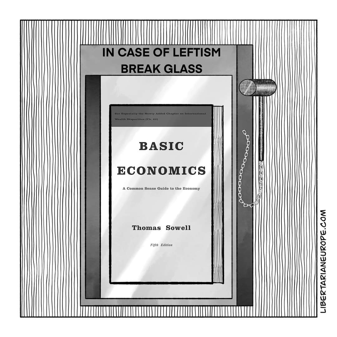 IN CASE OF LEFTISM BREAK GLASS 300 35n001411y 100 0wy 30000 07an60r 00 101014110121 Woulth Disparitios (Clues) BASIC ECONOMICS A Common Sense Guide to the Economy 0000 000000đ Thomas Sowell Fifth Edition LIBERTARIANEUROPE.COM